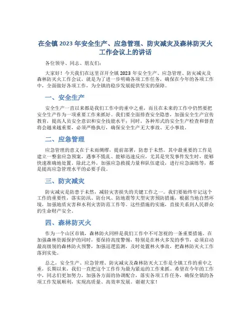 在全镇2023年安全生产、应急管理、防灾减灾及森林防灭火工作会议上的讲话