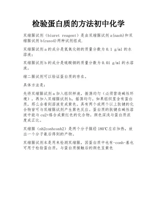 检验蛋白质的方法初中化学