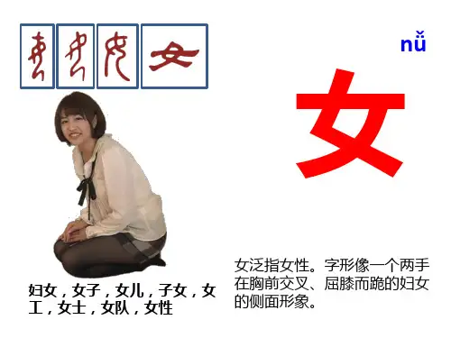 与女有关汉字字源(29张PPT)