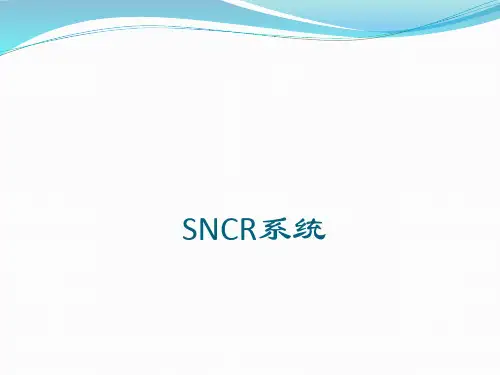 锅炉烟气脱硝SNCR系统