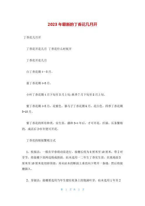 2023年最新的丁香花几月开