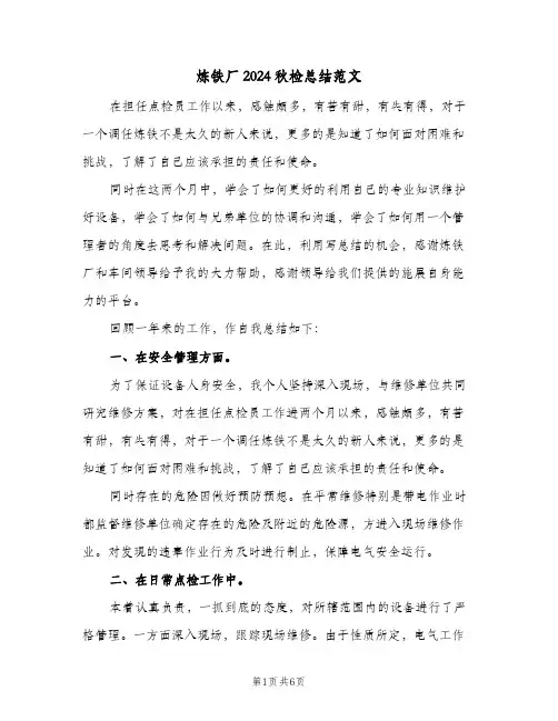 炼铁厂2024秋检总结范文（二篇）