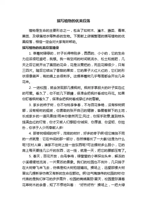 描写植物的优美段落