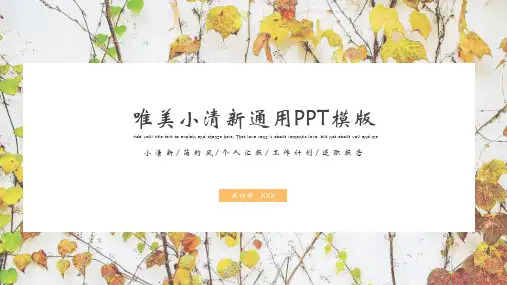 小清新简约文艺通用PPT模版