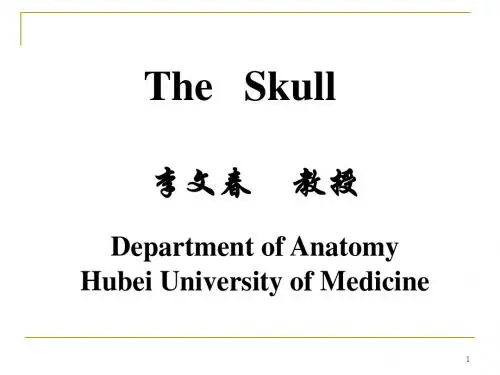 《系统解剖学》教学资料 the   skull颅骨-精选文档