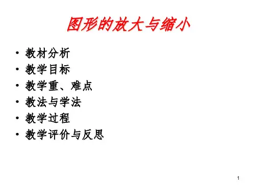图形的放大与缩小说课稿PPT课件