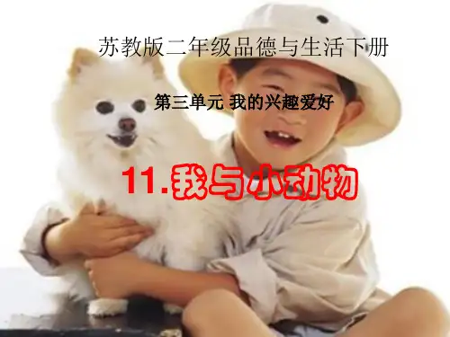苏教版品生二下《我与小动物》精选课件PPT