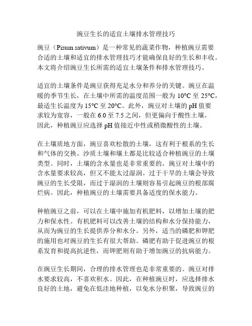 豌豆生长的适宜土壤排水管理技巧