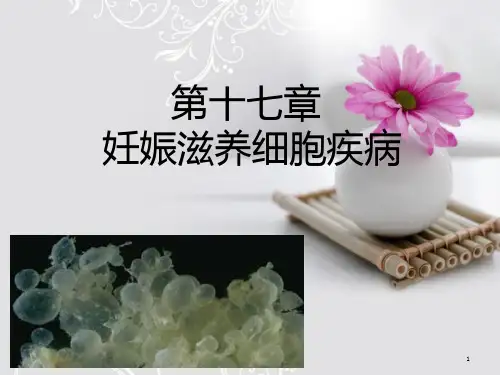 农医妇产科妊娠滋养细胞疾病课件