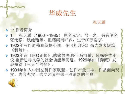 华威先生