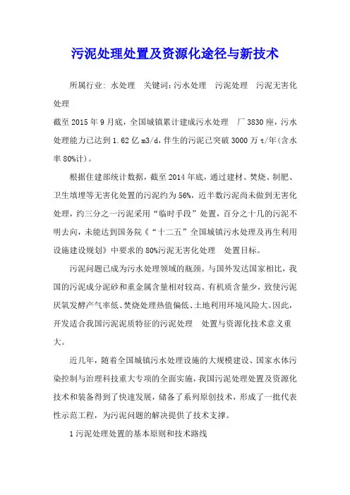 污泥处理处置及资源化途径与新技术