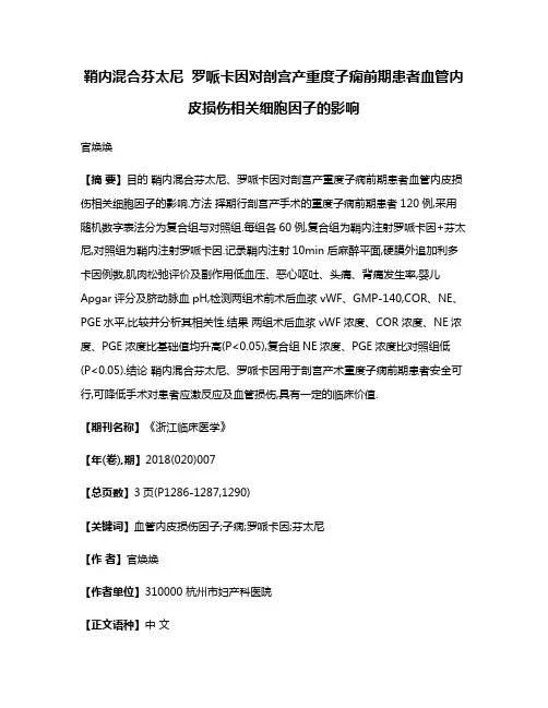 鞘内混合芬太尼