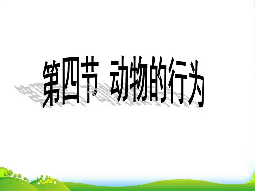秋七年级生物上册 第一单元 第二章 第二节 动物的行为课件 济南
