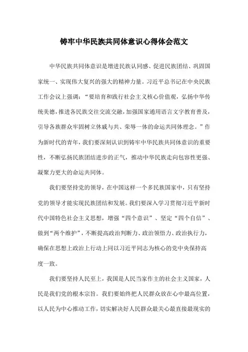铸牢中华民族共同体意识心得体会范文