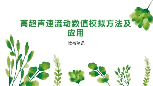 高超声速流动数值模拟方法及应用