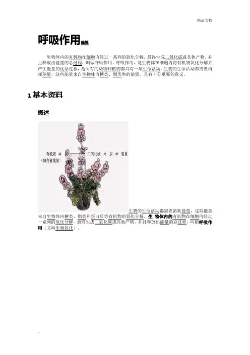 呼吸作用的全部过程