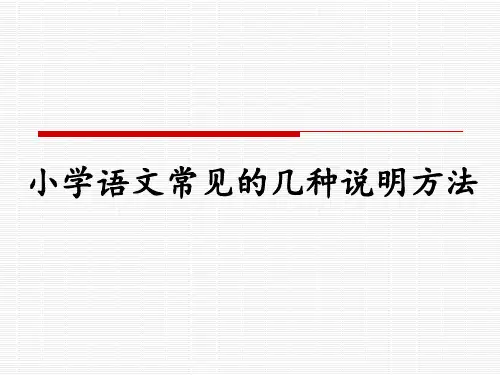 小学语文常见的说明方法(四年级下册第二单元)