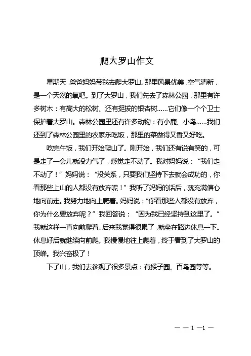 爬大罗山作文