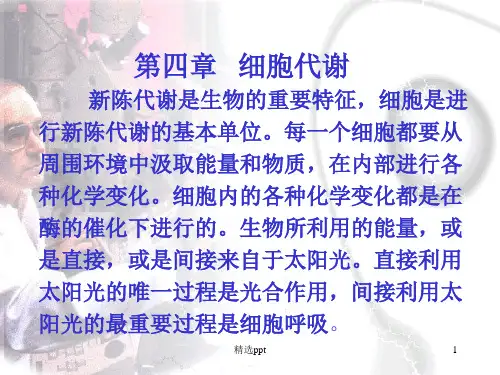《细胞代谢》PPT课件