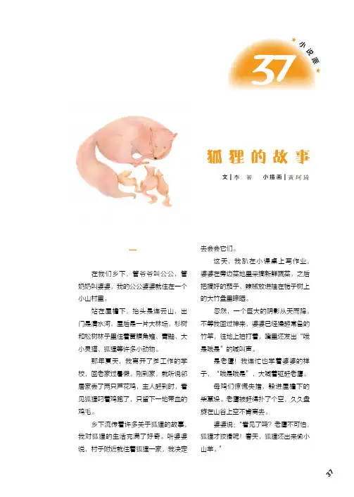 狐狸的故事