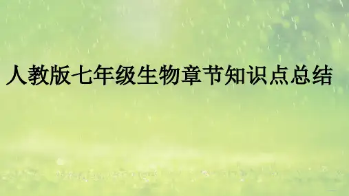 人教版七年级生物上册期末复习课件(38张  )