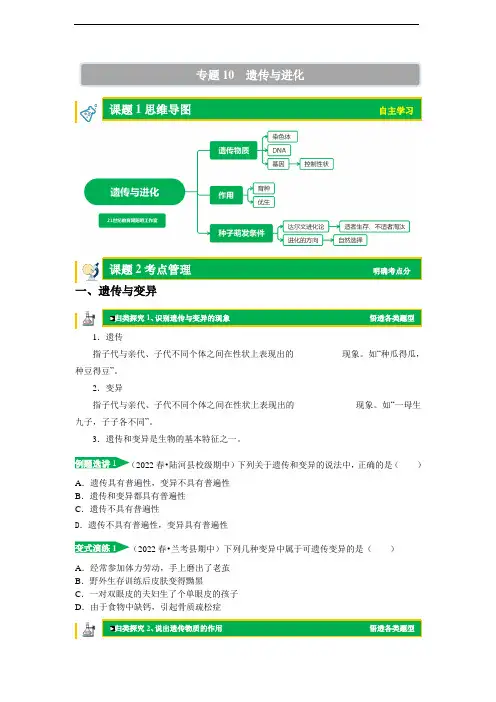 初中科学培优讲义(word版 含答案)专题10  遗传与进化(原卷版)