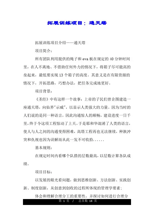 拓展训练项目:通天塔.doc