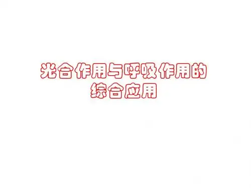 第9讲  光合作用与呼吸作用应用