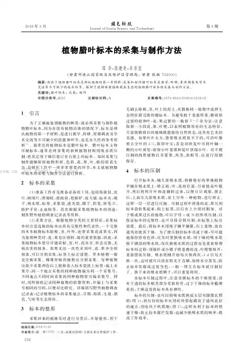 植物腊叶标本的采集与制作方法