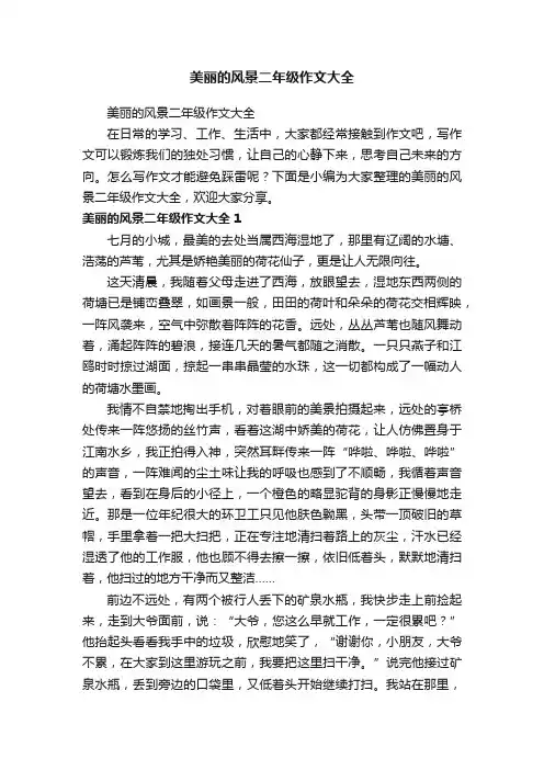 美丽的风景二年级作文大全