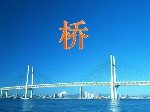 五年级下册美术第14课桥苏少版 (4)