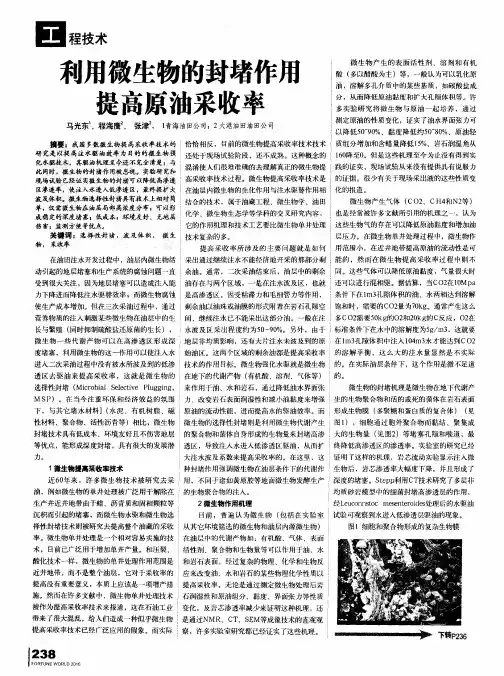利用微生物的封堵作用提高原油采收率
