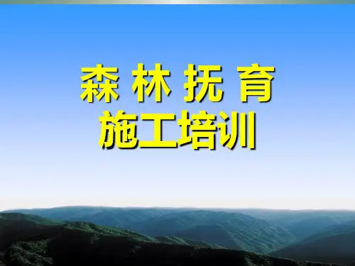 森林抚育施工培训PPT课件