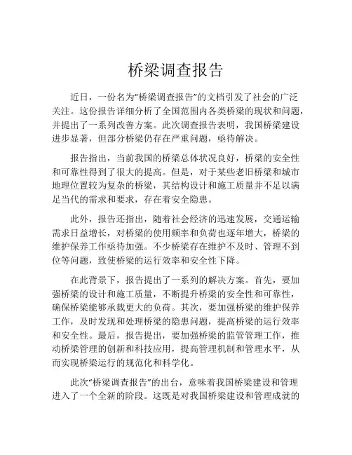 桥梁调查报告