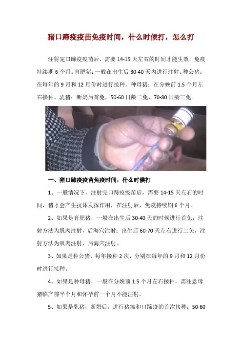 猪口蹄疫疫苗免疫时间,什么时候打,怎么打