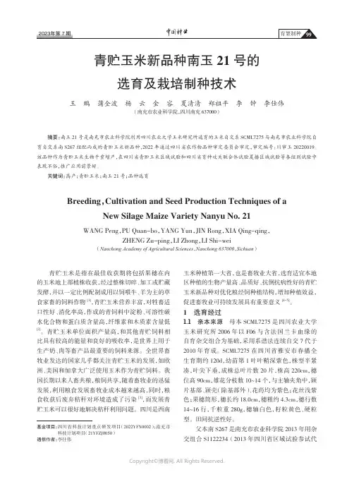 青贮玉米新品种南玉21_号的选育及栽培制种技术