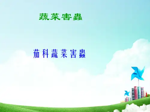 蔬菜害虫(茄科蔬菜害虫)