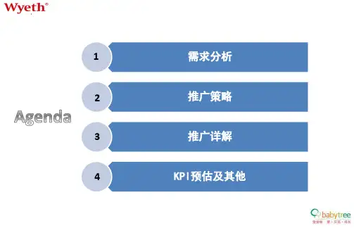 惠氏婴儿护理产品推广策划方案ppt