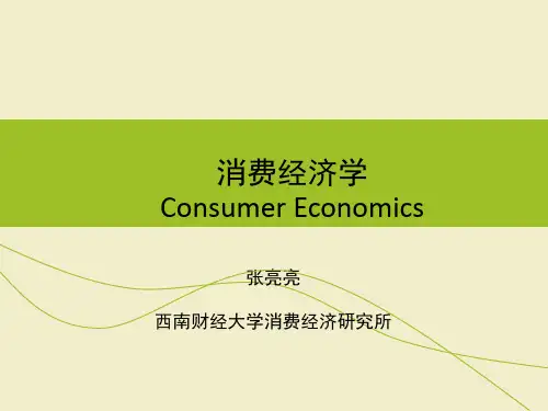 消费经济学第十讲+消费与储蓄