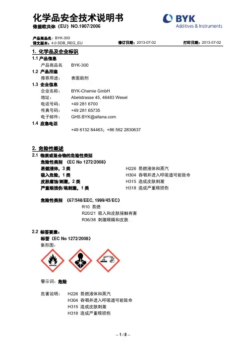 7-----BYK-300安全说明书-中文版