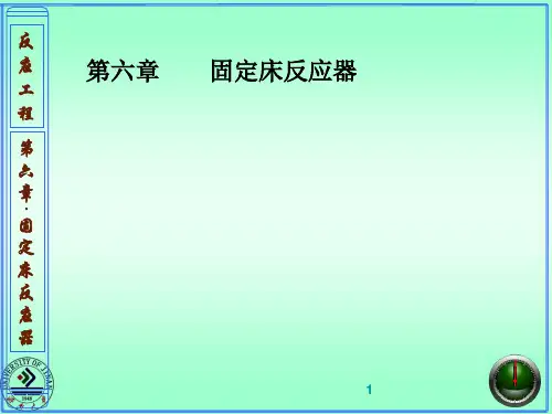 第6章 固定床反应器1
