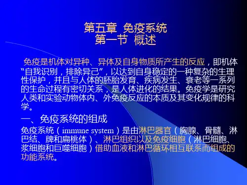 第五章免疫系统ppt课件
