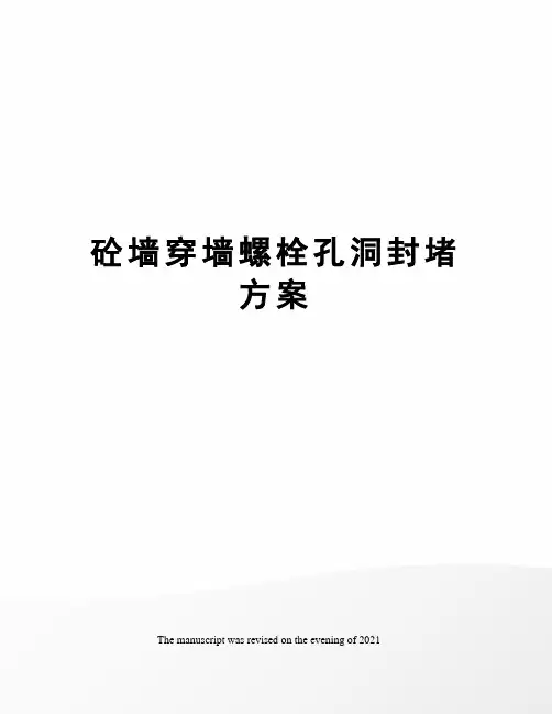 砼墙穿墙螺栓孔洞封堵方案
