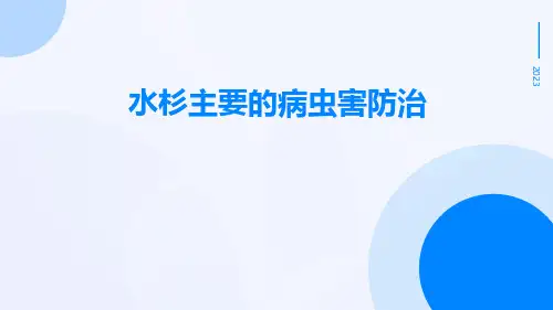 水杉主要的病虫害防治