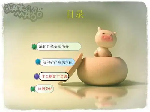 缅甸自然资源简介-精选文档