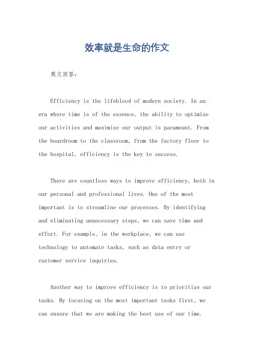效率就是生命的作文
