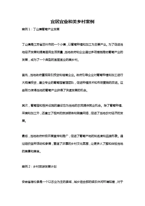 宜居宜业和美乡村案例