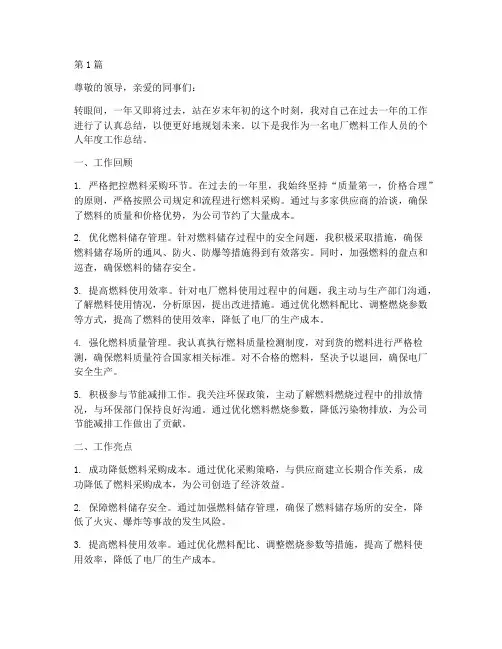 电厂燃料个人年度总结(3篇)