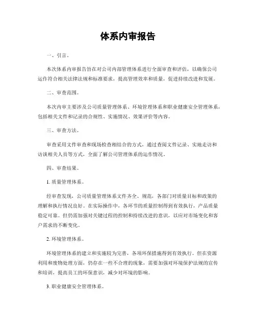 体系内审报告