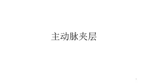 主动脉夹层PPT课件
